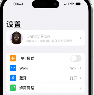 中平镇appleID维修服务iPhone设置中Apple ID显示为灰色无法使用 