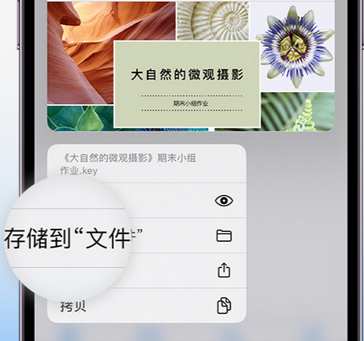 中平镇apple维修中心分享iPhone文件应用中存储和找到下载文件