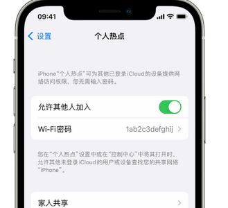 中平镇apple服务站点分享iPhone上个人热点丢失了怎么办 