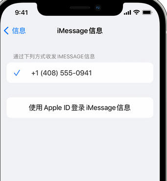 中平镇apple维修iPhone上无法正常发送iMessage信息 