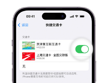 中平镇apple维修点分享iPhone上更换Apple Pay快捷交通卡手绘卡面 