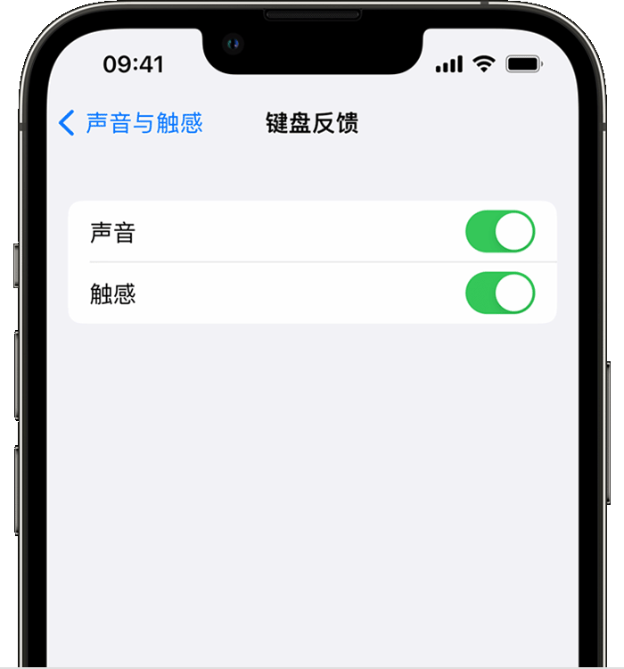 中平镇苹果14维修店分享如何在 iPhone 14 机型中使用触感键盘 