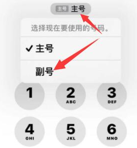 中平镇苹果14维修店分享iPhone 14 Pro Max使用副卡打电话的方法 