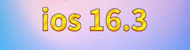 中平镇苹果服务网点分享苹果iOS16.3升级反馈汇总 