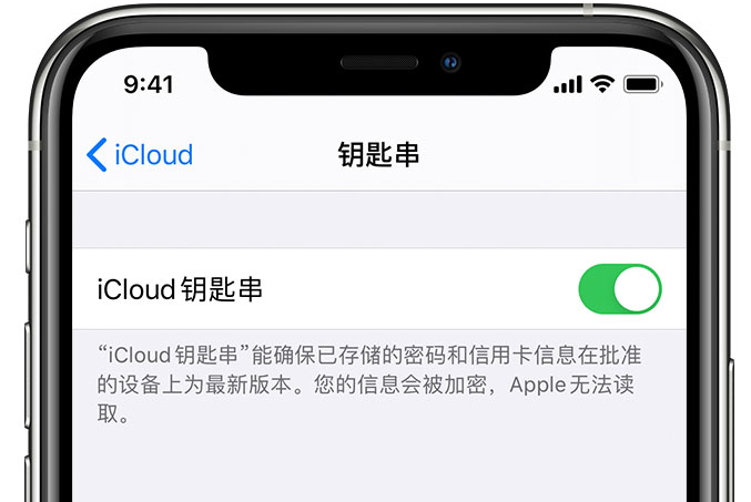 中平镇苹果手机维修分享在 iPhone 上开启 iCloud 钥匙串之后会储存哪些信息 