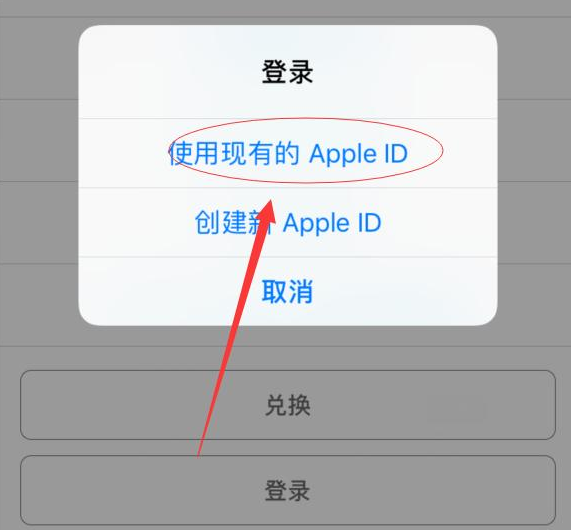 中平镇苹果手机维修分享两台iPhone设备可以同时登录一个Apple ID吗 