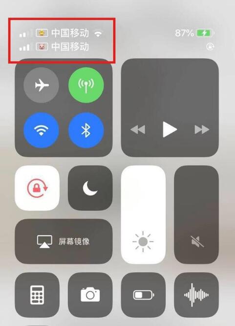 中平镇苹果手机维修分享为 iPhone 12 双卡设置标签 
