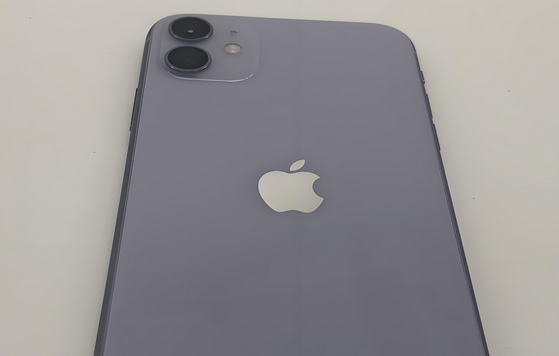 中平镇苹果11系统维修分享iPhone11手机系统崩溃无法开机如何解决 